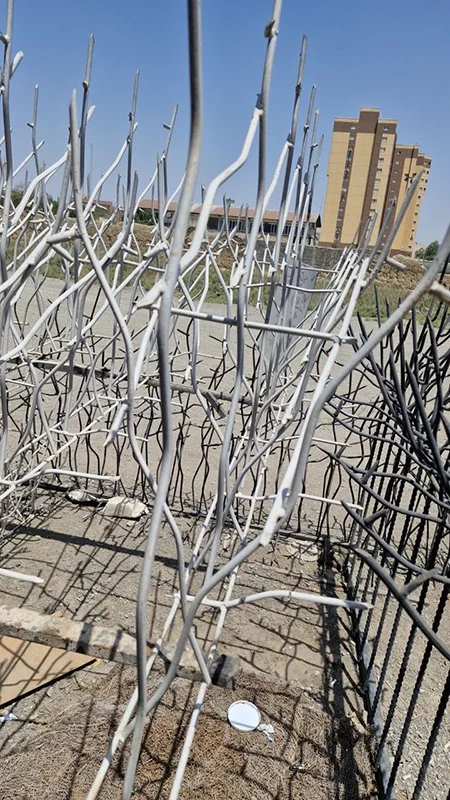 حفاظ شاخ گوزنی